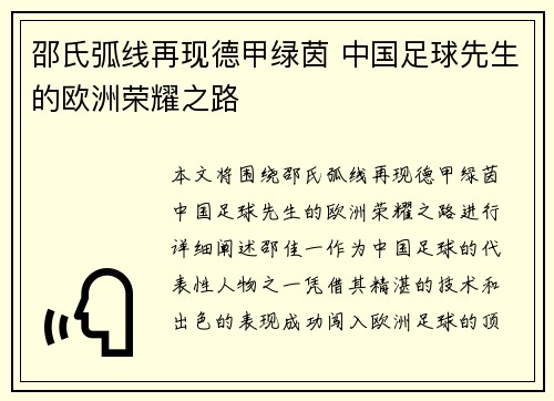 邵氏弧线再现德甲绿茵 中国足球先生的欧洲荣耀之路